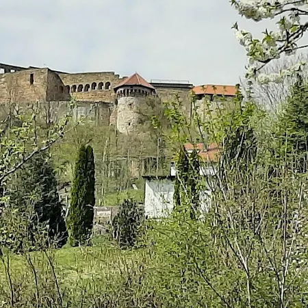 Apartament Bauchert *