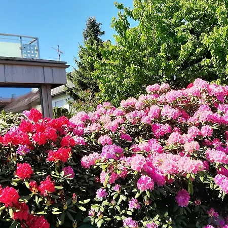 Bauchert Schwäbisch Gmünd