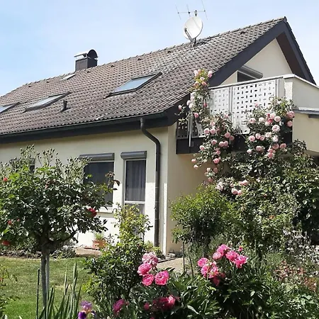 Bauchert